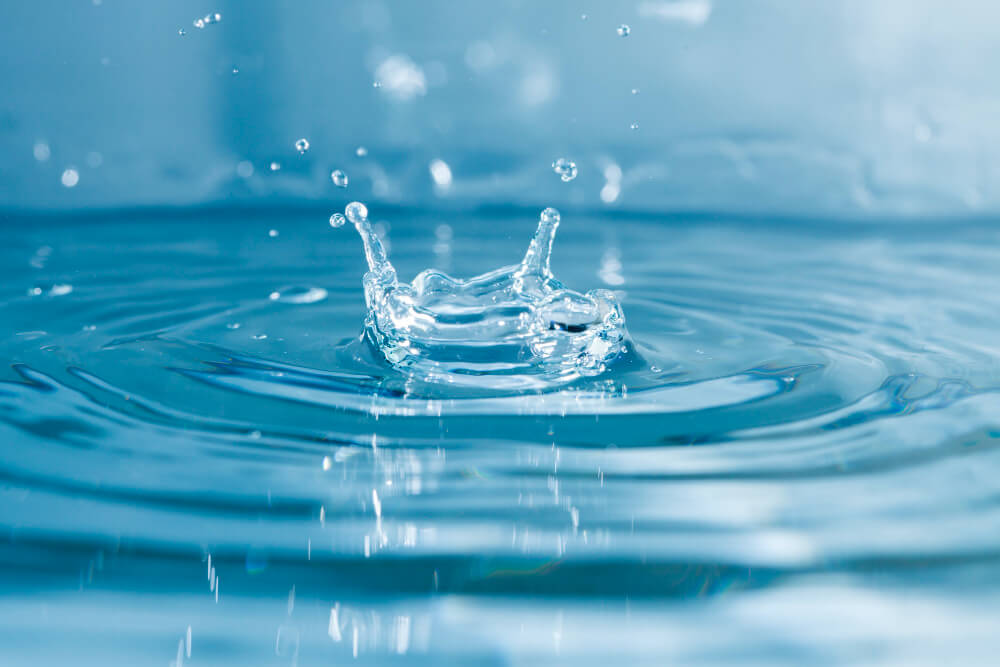 błędy użytkowników Rainbow